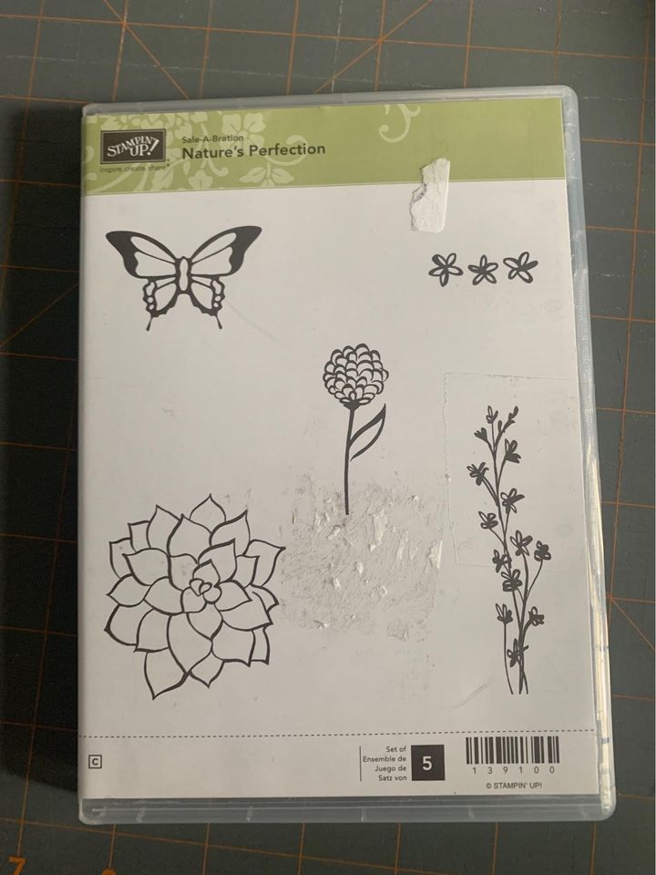 Stampin up Nature’s Perfection Rubber Stamp Set