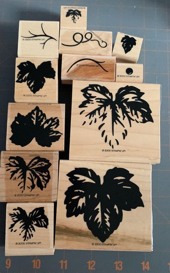 Stampin up definitely decorative vine rubber stamp set