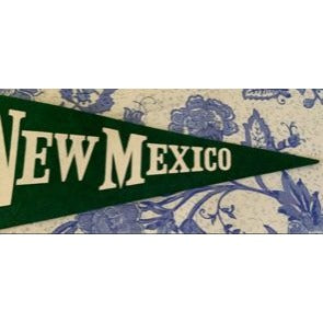 Vintage New Mexico Pennant 18"