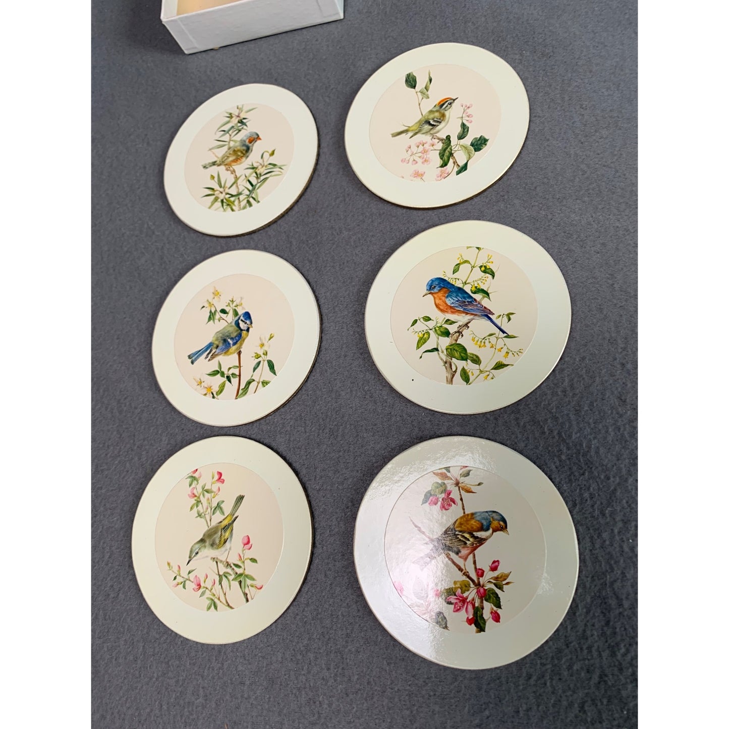 Sheraton Birds by A. Marlan Coasters Set of 6